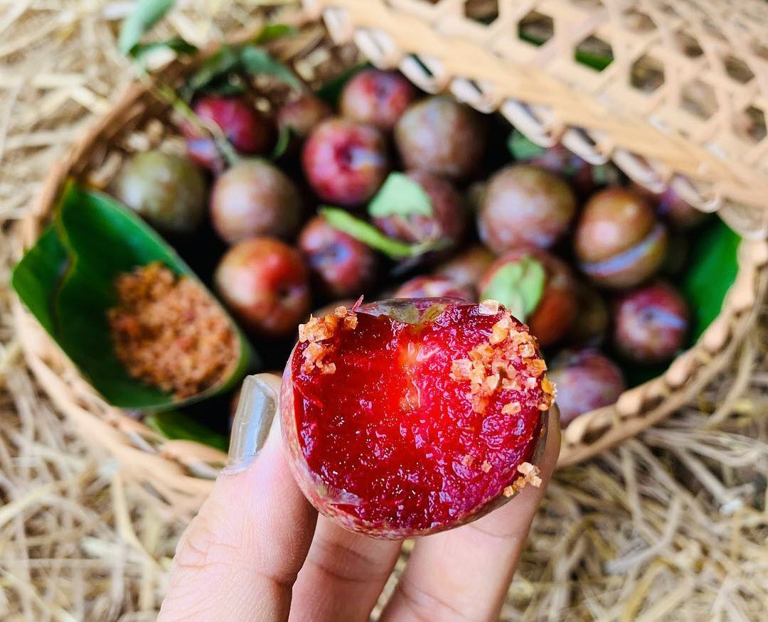 [MỚI] Tổng hợp Các cách chế biến mận hậu ngon nuốt lưỡi