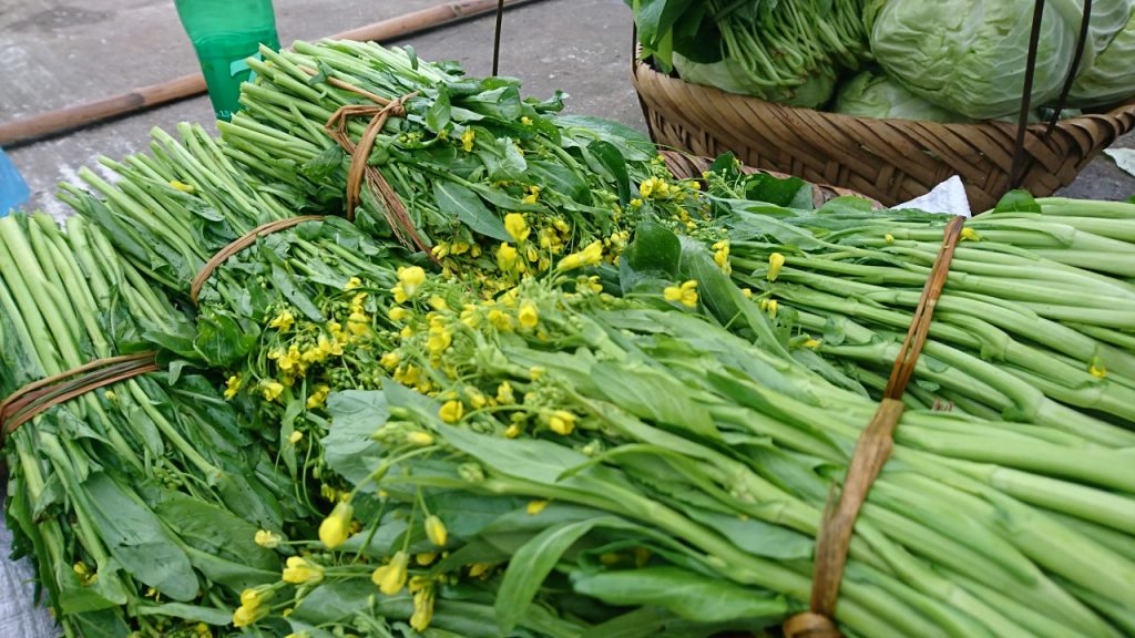 Phân Biệt 15 Loại Rau Cải Phổ Biến cho cô nàng 