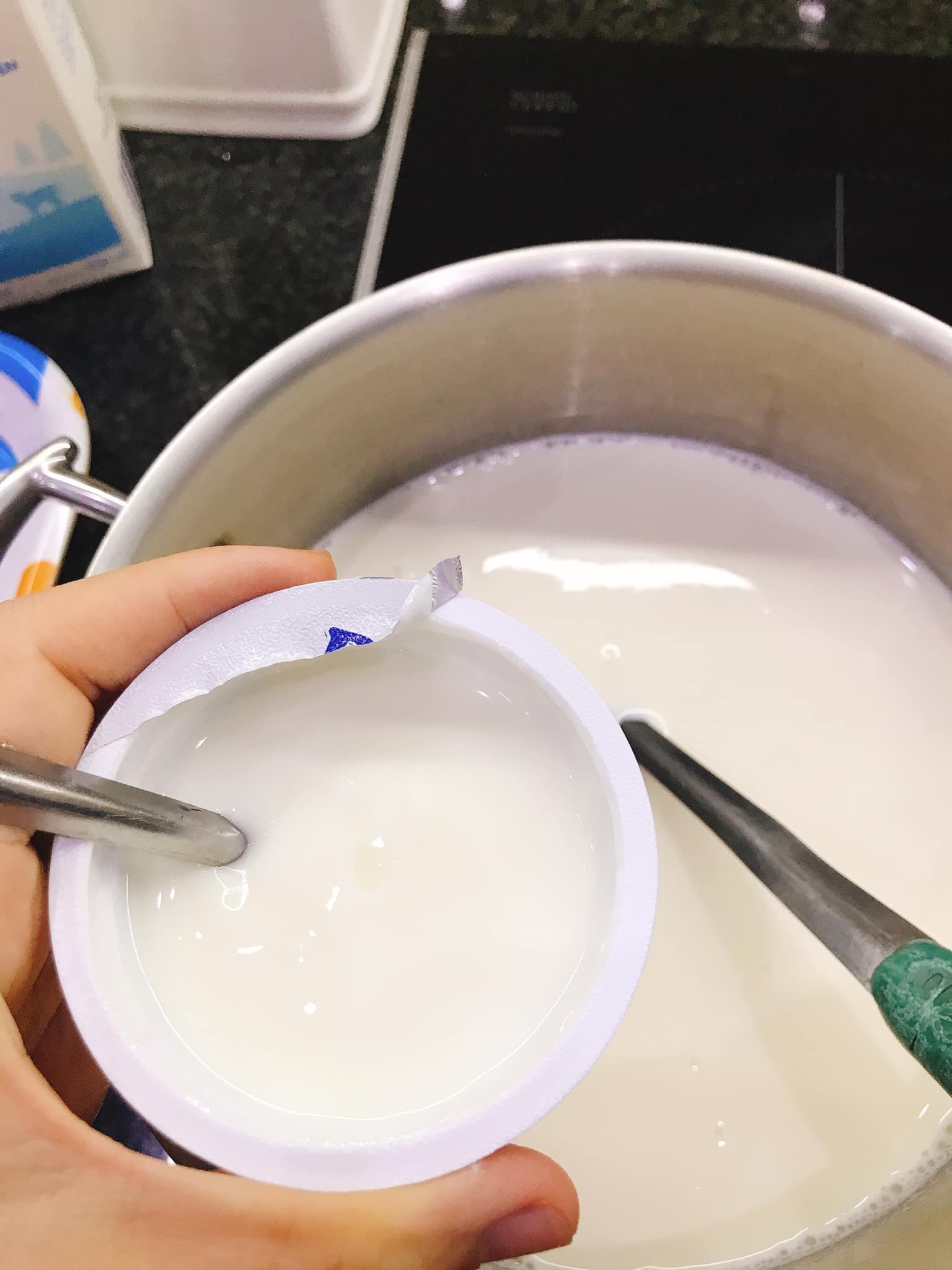trộn sữa chua cái vào hỗn hợp sữa
